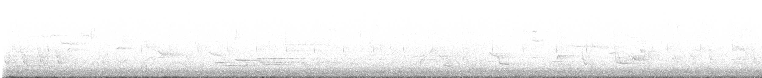 Черноклювая гагара - ML619568674