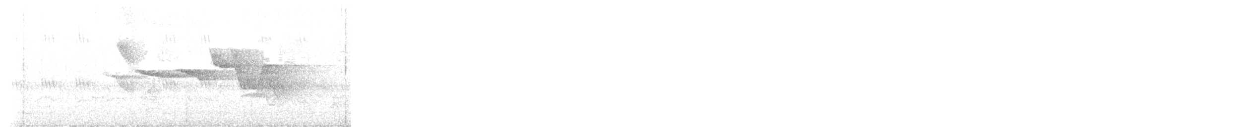 Swainson's Warbler - ML619569239