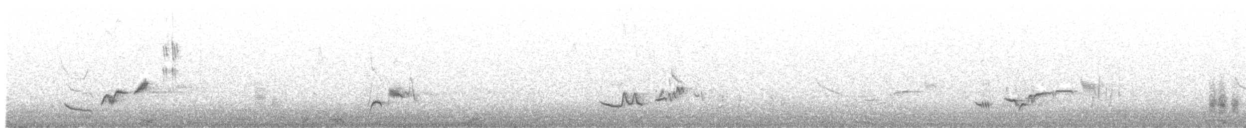 gråflanketrosteskvett - ML619569477