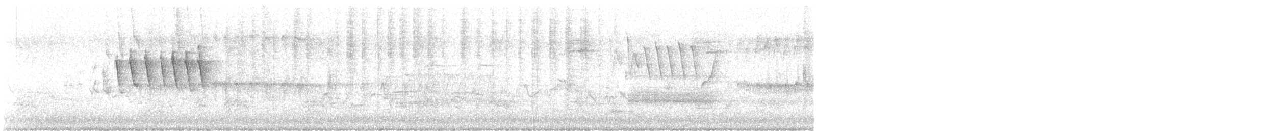 Paruline à calotte noire (pusilla) - ML619569521