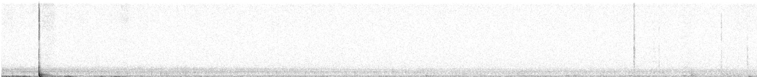 Texasnachtschwalbe - ML619570208