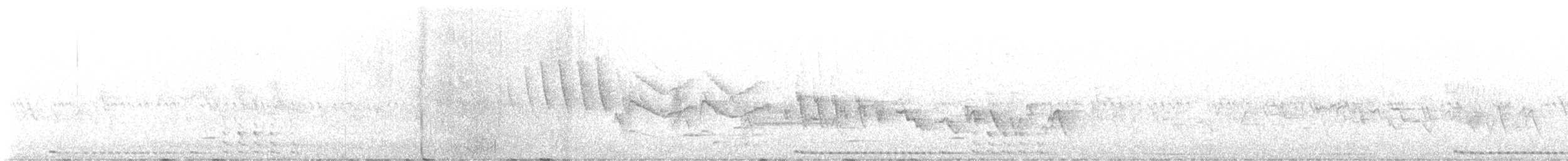 Texasnachtschwalbe - ML619570258