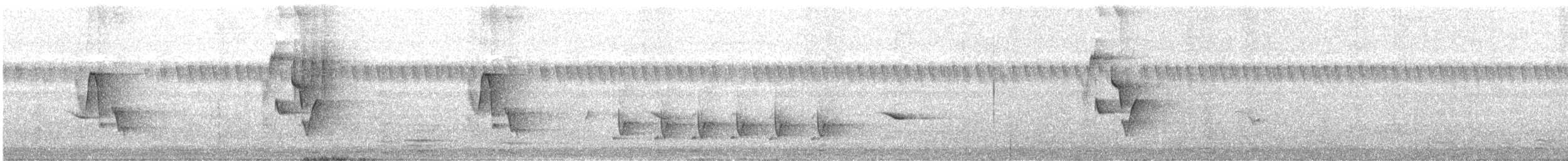 Timorbuschsänger - ML619570371