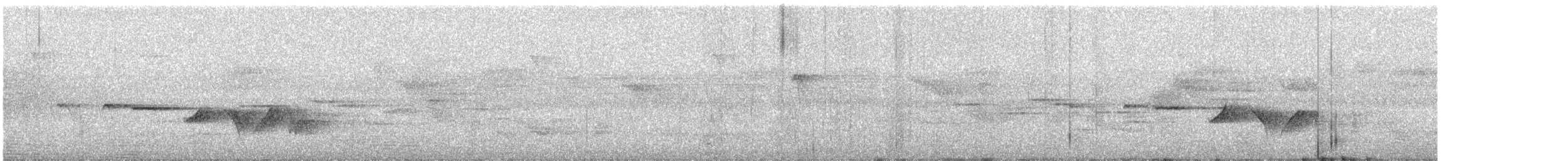 Gray-bellied Tesia - ML619570428
