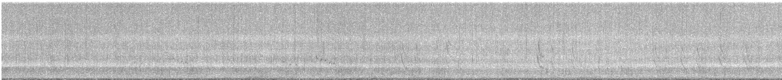 Büyük Mor Kırlangıç - ML619570581
