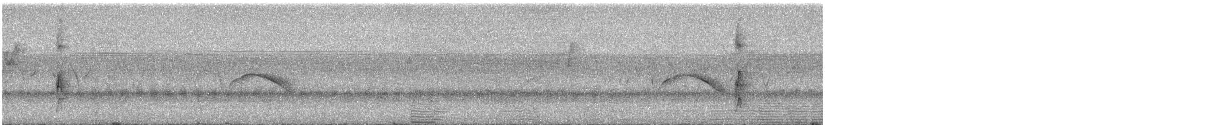 Stripe-breasted Woodpecker - ML619570606