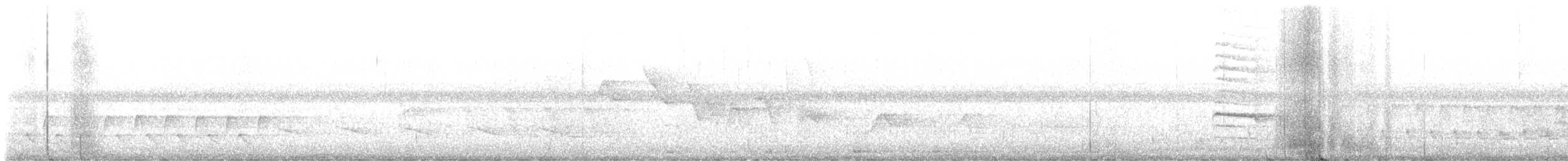 Смугастоволець білобровий - ML619570914