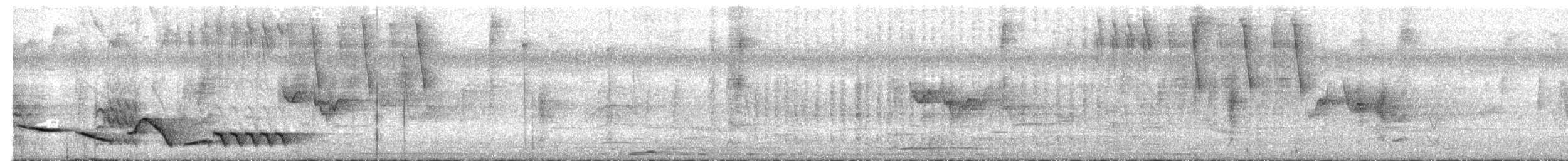 Kara Gerdanlı Çıtkuşu - ML619570916