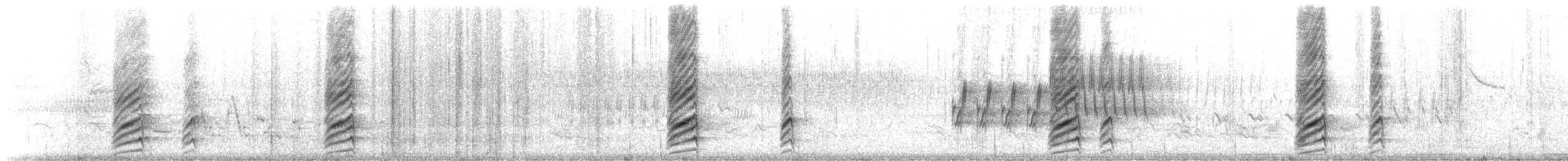 Kara Gagalı Saksağan - ML619570918
