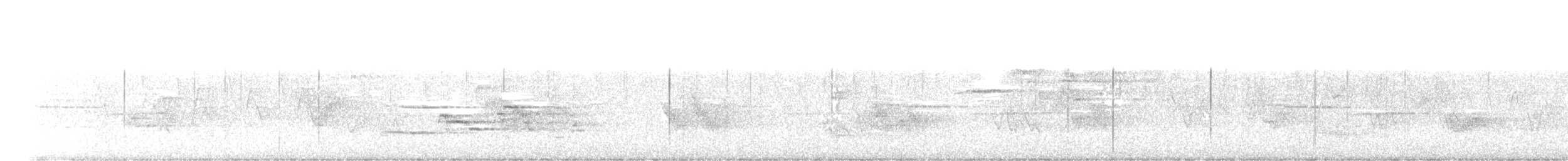 Дрізд-короткодзьоб плямистоволий - ML619571091