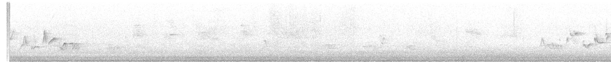 Warbling Vireo (Western) - ML619571446