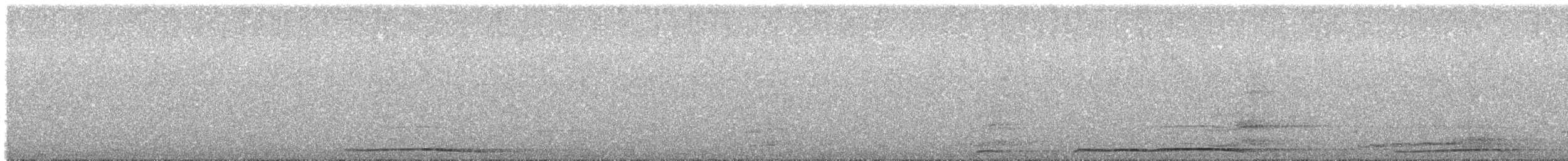 Сова сіра - ML619571566