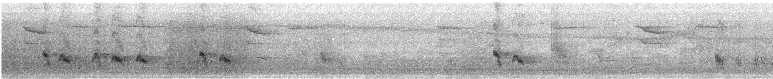 Büyük Mor Kırlangıç - ML619572106