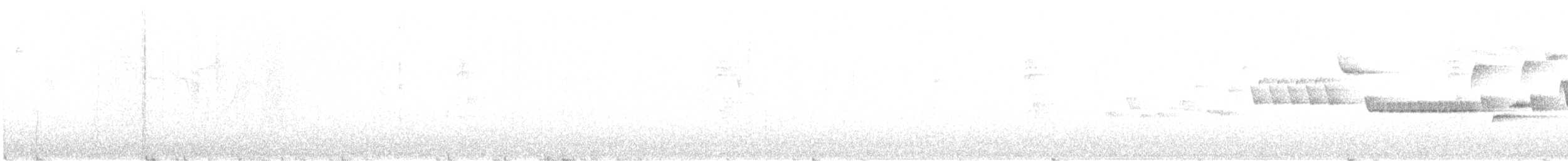 Troglodyte des forêts - ML619572263