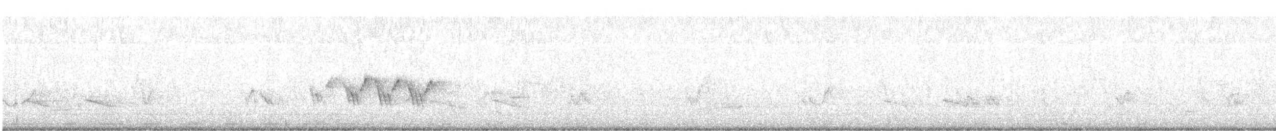 Черногорлая хвойница - ML619572958