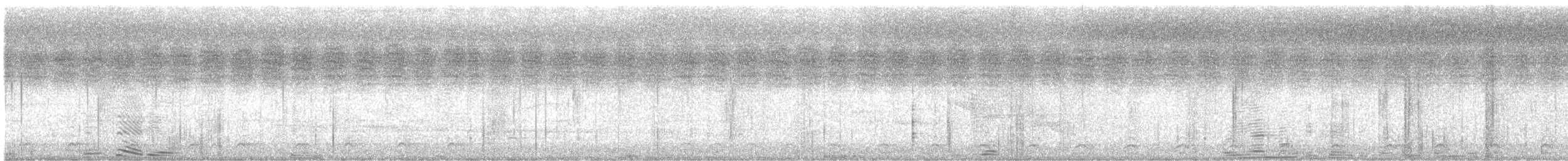 Slaty-tailed Trogon (Massena) - ML619574005