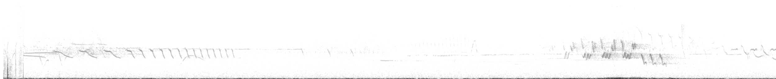 Черногорлая хвойница - ML619574466