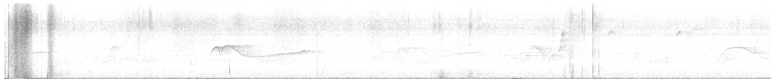 Barred Owl - ML619574486