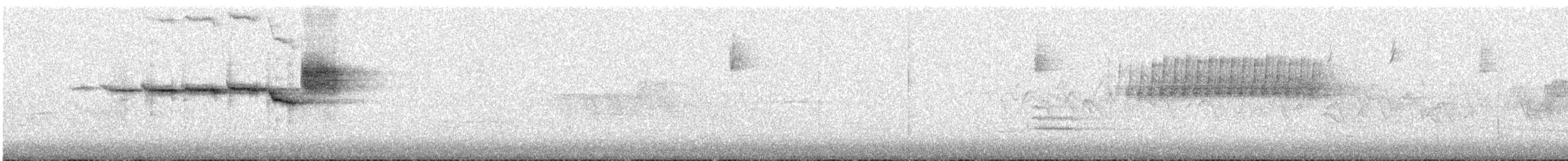 Paruline à gorge noire - ML619574991