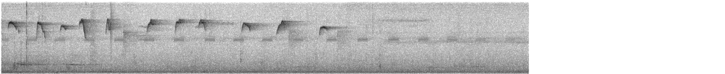 Пестрогорлый колибри-отшельник - ML619575461