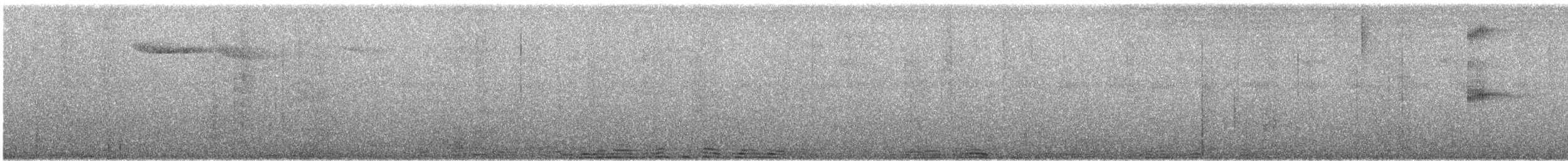 Черношапочная аруна - ML619575486