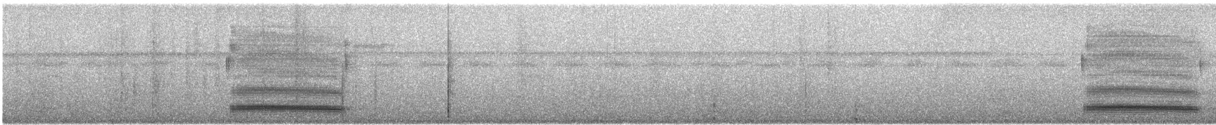 Güneyli Bükük Gagalı Tiran - ML619575556
