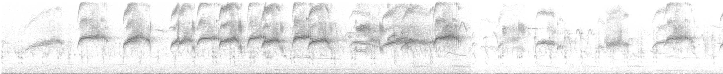 Common Swift - ML619575695