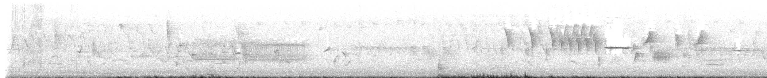 אנפית-גמדית אמריקנית - ML619576378