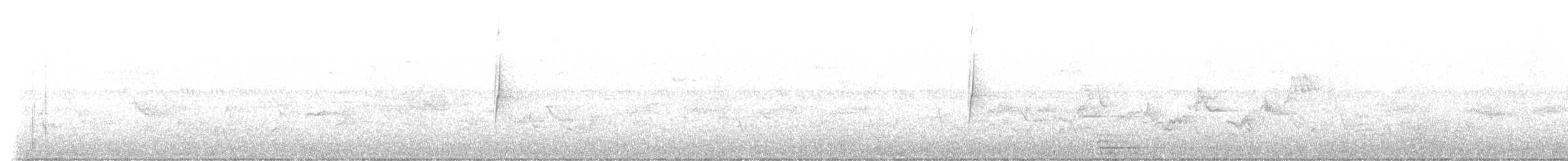 Küçük Boreal Sinekkapan - ML619576644