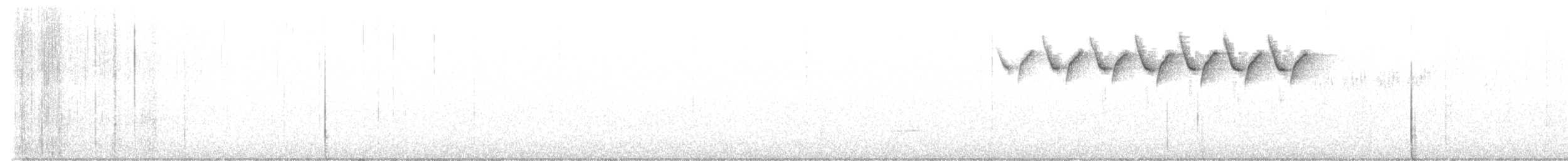 Paruline noir et blanc - ML619577065