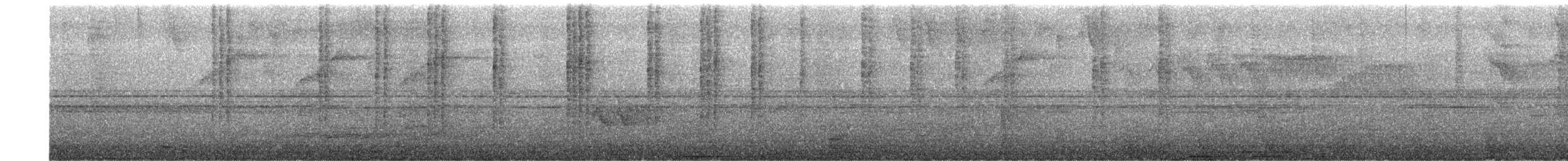 Белогузый колибри - ML619577297