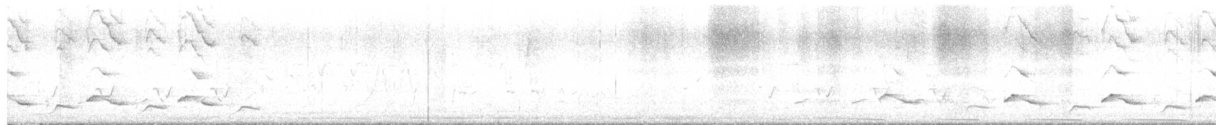 Калифорнийская кукушка-подорожник - ML619577545