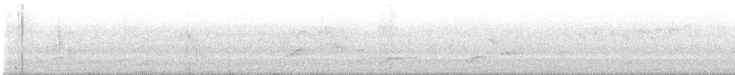 Chestnut-sided Warbler - ML619577619