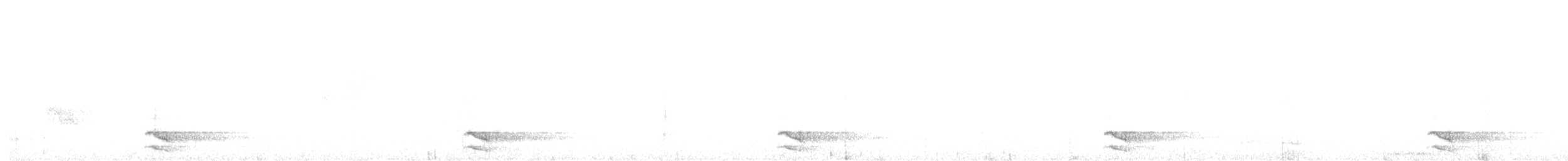 Полосатый лесной сокол - ML619577686