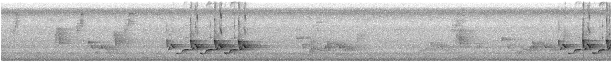 Поплітник каролінський - ML619577765