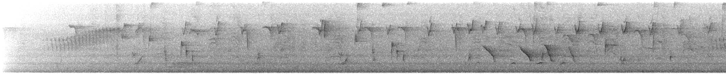 Protonoter Ötleğeni - ML619577804