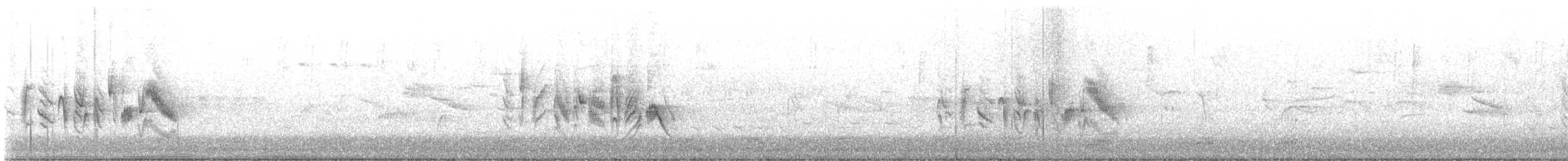 Braunaugenvireo (pusillus) - ML619578704