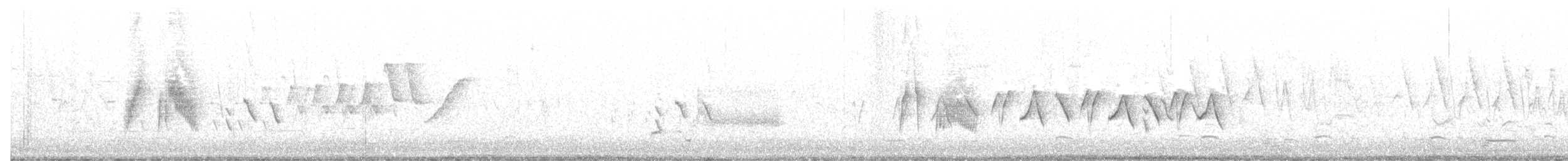 Піві-малюк вербовий - ML619578893
