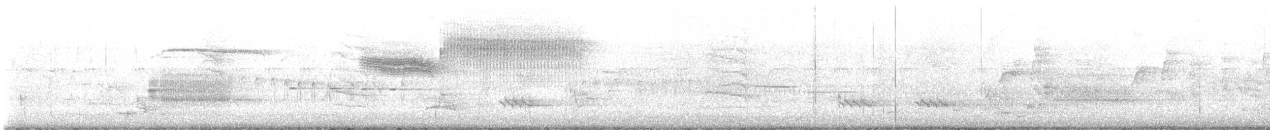 gullvingeparula x blåvingeparula (hybrid) - ML619579959