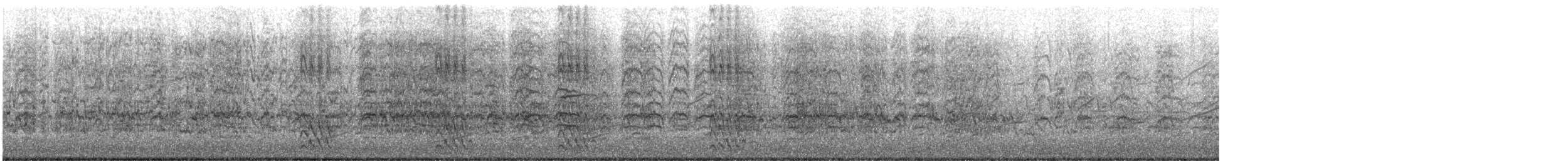キバナシマセゲラ（aurifrons） - ML619580739