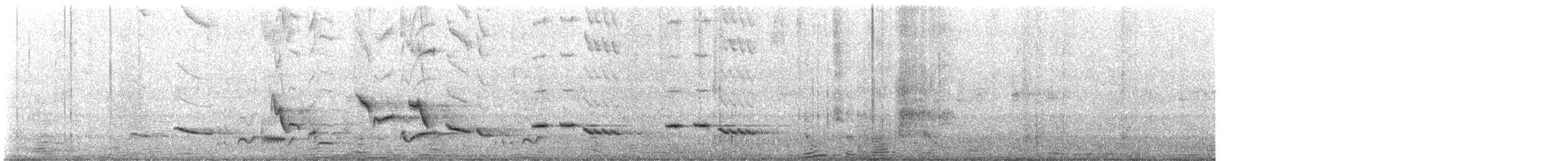Тирч плямистоволий - ML619580747