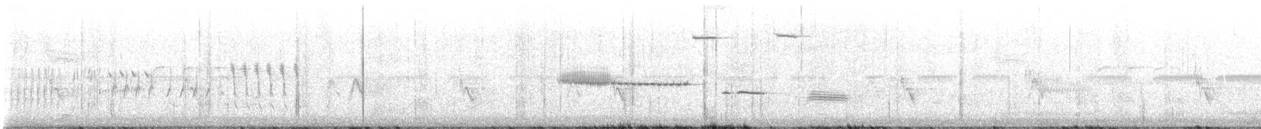 Cassin's Sparrow - ML619581044