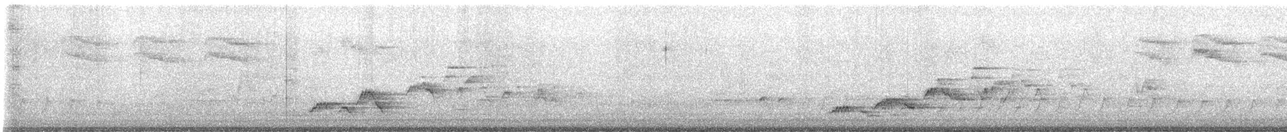 Дрізд-короткодзьоб Cвенсона - ML619581973