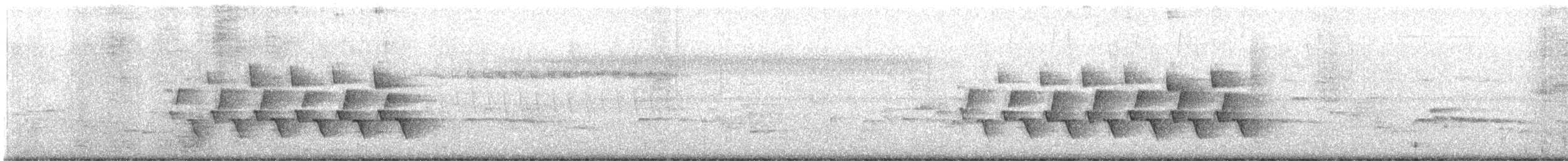Каролинский крапивник - ML619582528