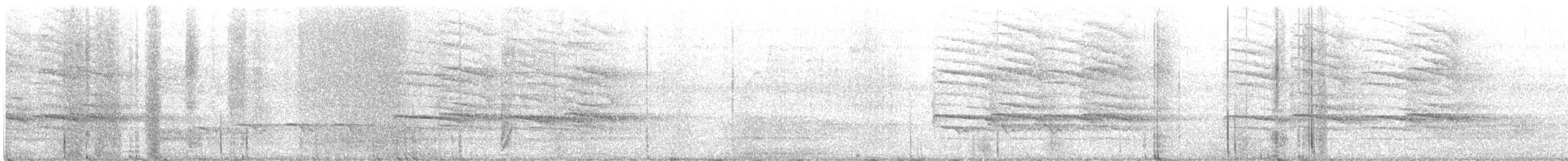 פיבי מזרחית - ML619583452