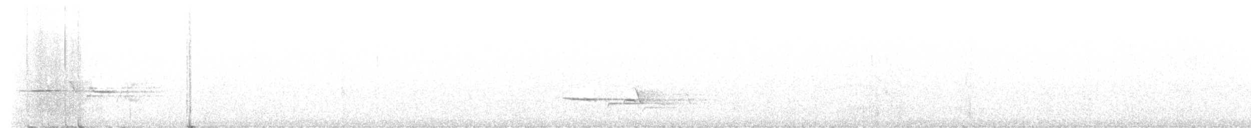 Дрізд-короткодзьоб плямистоволий - ML619583936