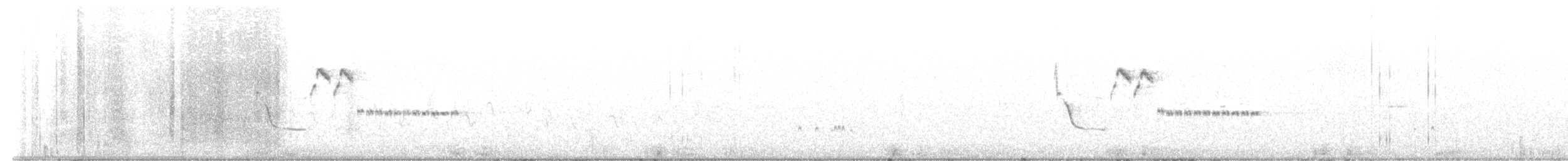 svartstrupespurv - ML619584003