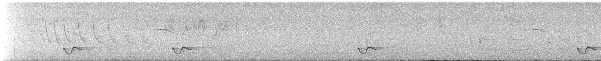 Uzun Gagalı Çıtkuşu - ML619585285