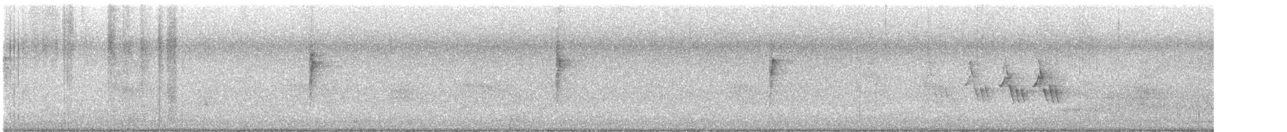 Черногорлая хвойница - ML619585432