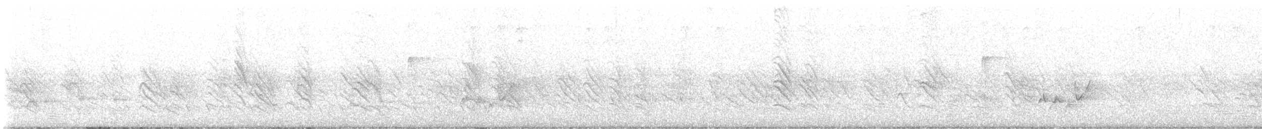 White-eyed Vireo - ML619585727